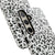Snow Leopard