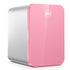Lurella mini fridge