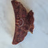 HCP-2464 brown