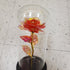 Beauty and the beast flower