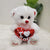 Small BEAR