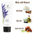 Lavender natural hand