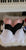 22211 brassier lace WHITE