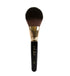 101 powder brush