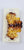 Hair clips 111