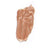 M14 Metallic Long Wear Matte Lip Gloss - Caramel