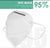 N95 Face Mask