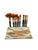 10pc brush set