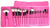 24 Pc BIG HOT PINK BRUSH SET