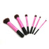 6PC PRETTY TOOLS BRUSH SET